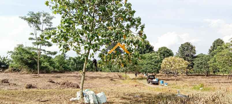 dijual tanah sibolangit