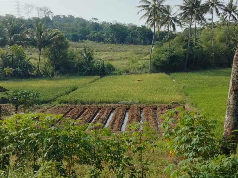 dijual tanah sindang kempeng kec