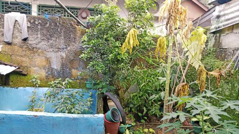 dijual tanah strategis bonus rumah kampung