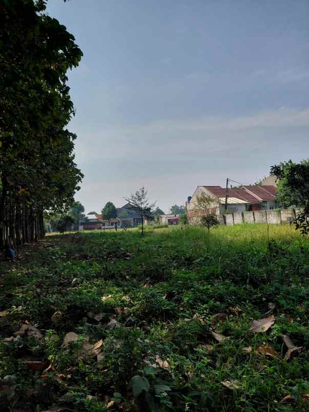 dijual tanah strategis cibinong pemda bogor kabupaten