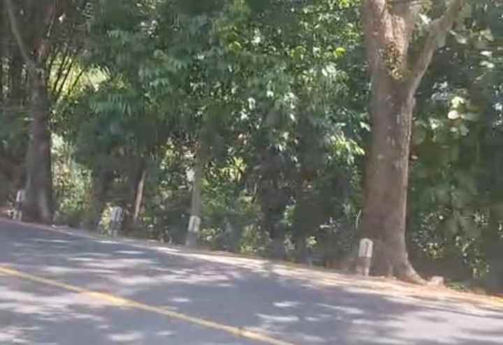 dijual tanah strategis pinggir jalan raya propinsi