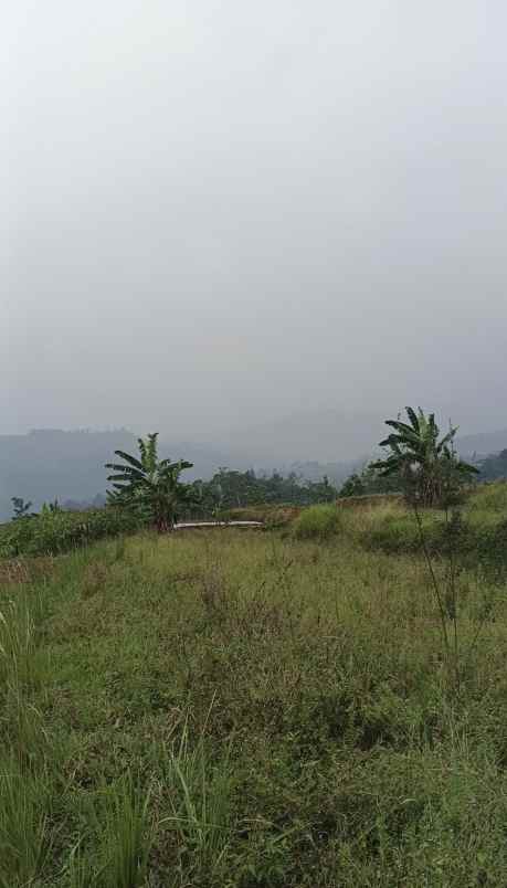 dijual tanah sukamakmur puncak dua