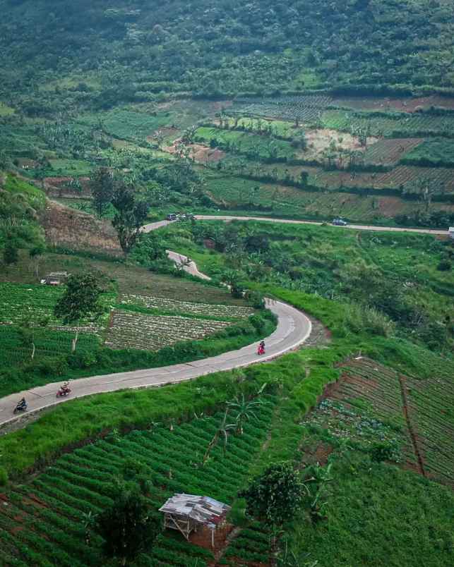 dijual tanah sukamakmur puncak dua