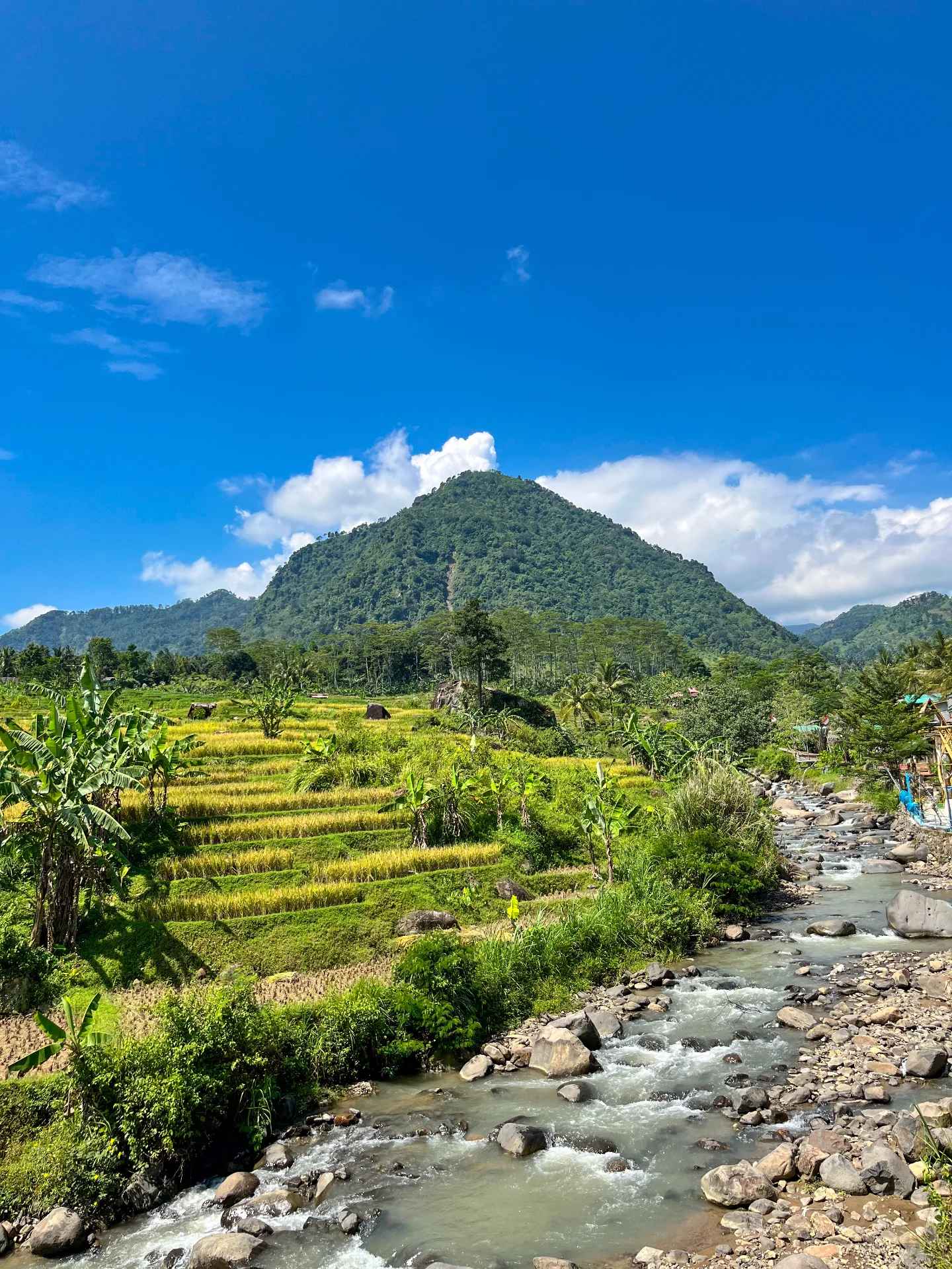 dijual tanah sukamakmur puncak dua
