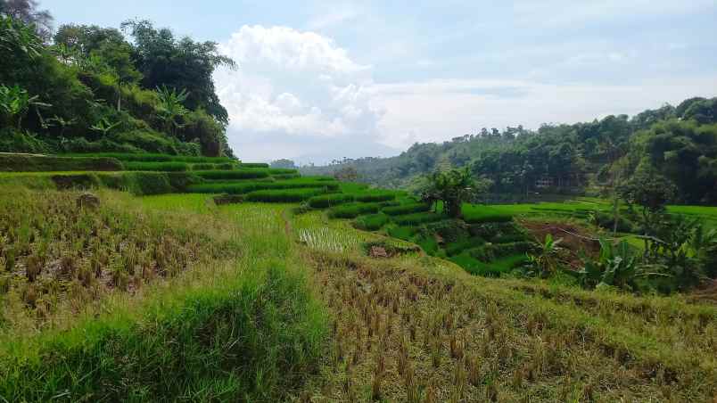 dijual tanah sumedang selatan