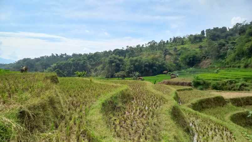 dijual tanah sumedang selatan