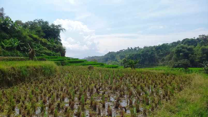 dijual tanah sumedang selatan