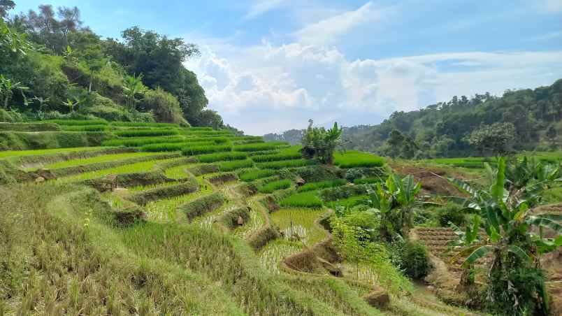 dijual tanah sumedang selatan