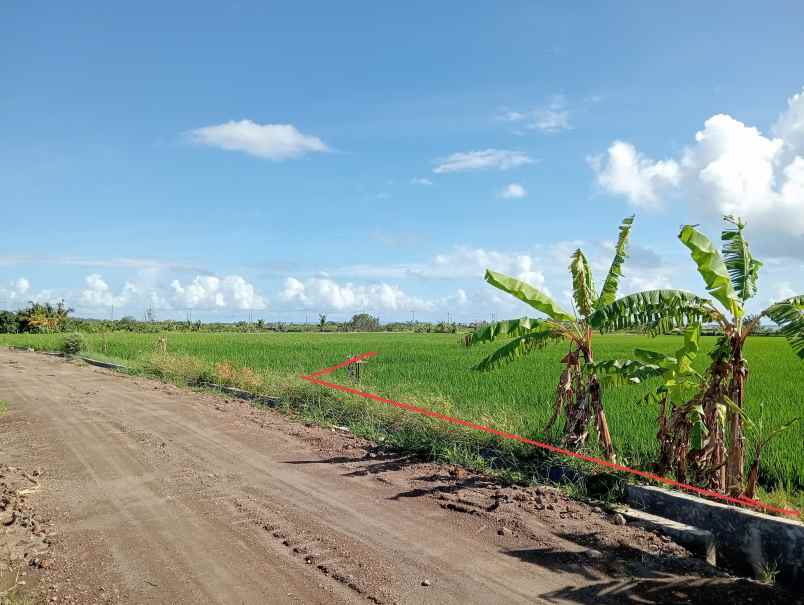 dijual tanah tibubiyu kec kerambitan