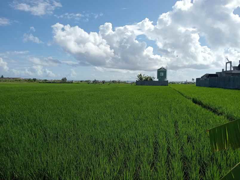 dijual tanah tibubiyu kec kerambitan