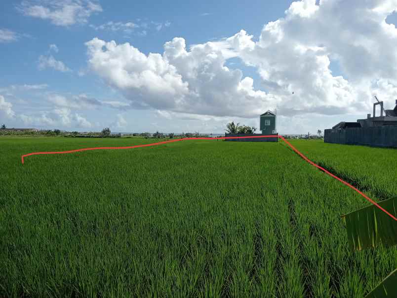 dijual tanah tibubiyu kec kerambitan