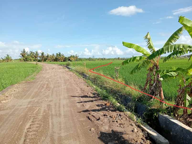 dijual tanah tibubiyu kec kerambitan