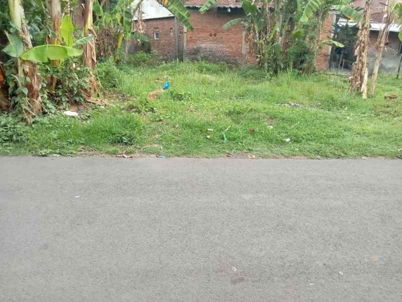 dijual tanah tlogomas dekat kampus