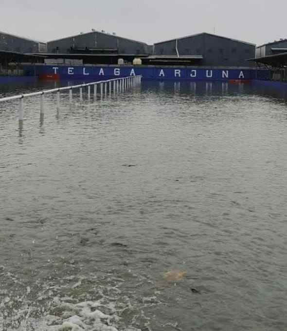 dijual tempat usaha pemancingan ikan di bandung