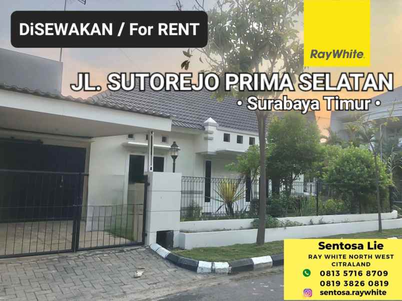 disewakan rumah jalan sutorejo prima selatan