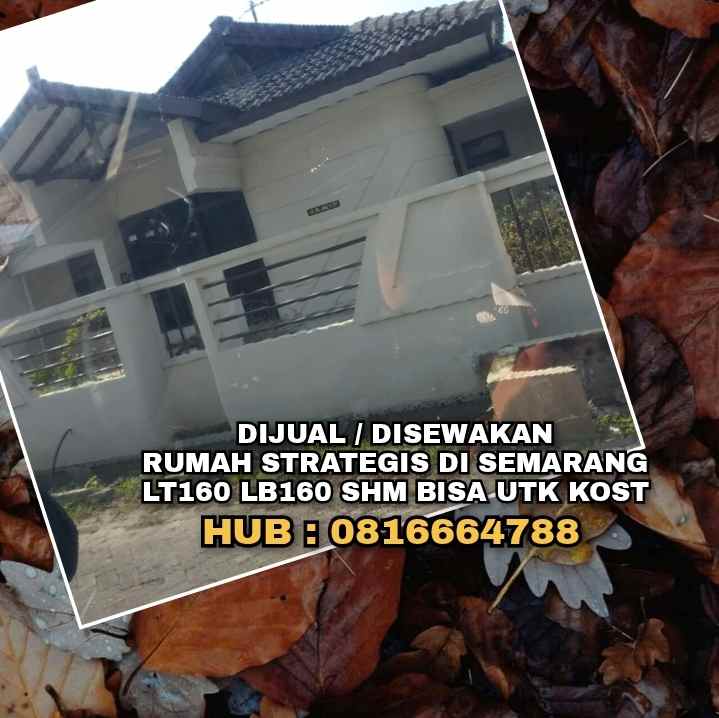 disewakan rumah jl semarang indah b vi 12