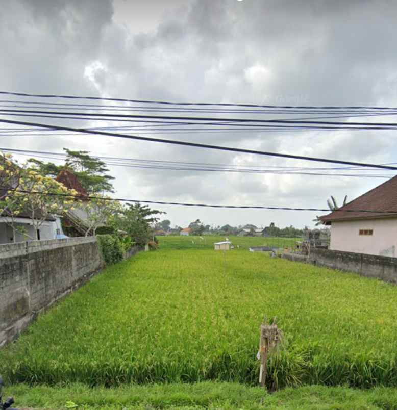 disewakan tanah cemagi badung bali