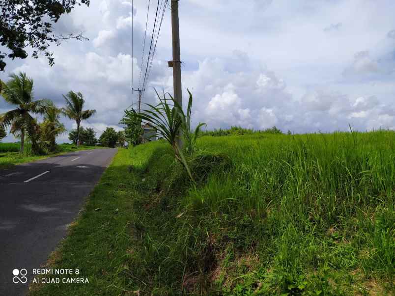 disewakan tanah kaba kaba tabanan bali