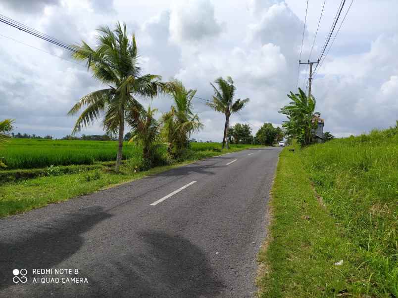 disewakan tanah kaba kaba tabanan bali