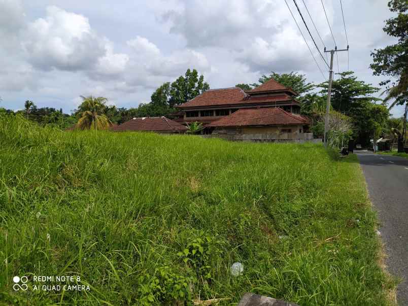 disewakan tanah kaba kaba tabanan bali