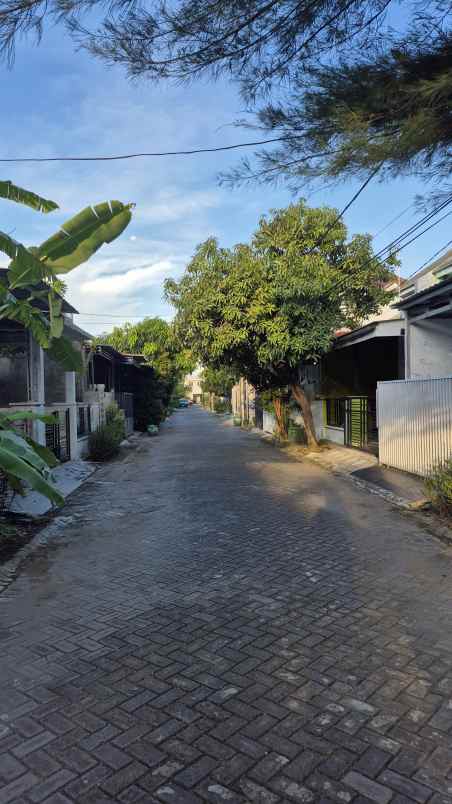 grand semanggi residence minimalis modern surabaya