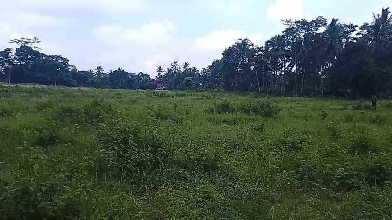 jual lahan prospektif zona kuning perkotaan