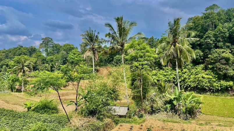 jual murah tanah sawah produktif di bojong purwakarta