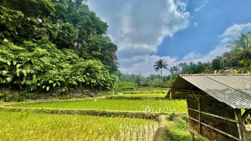 jual murah tanah sawah produktif di bojong purwakarta