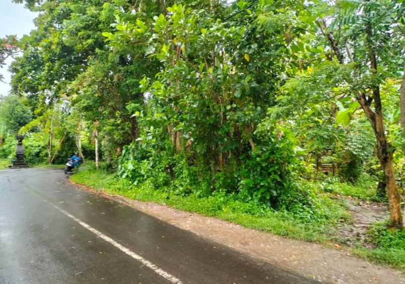 jual tanah di singekerta ubud gianyar bali