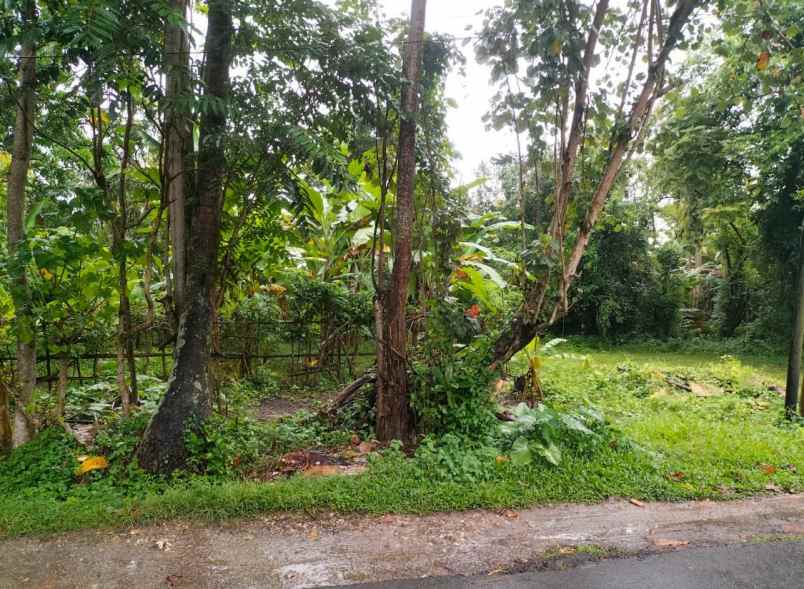 jual tanah di singekerta ubud gianyar bali