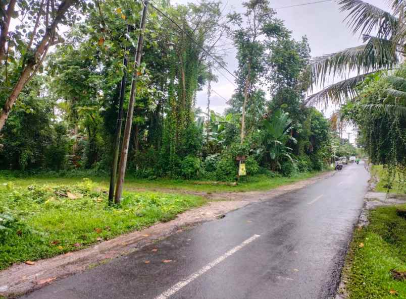 jual tanah di singekerta ubud gianyar bali