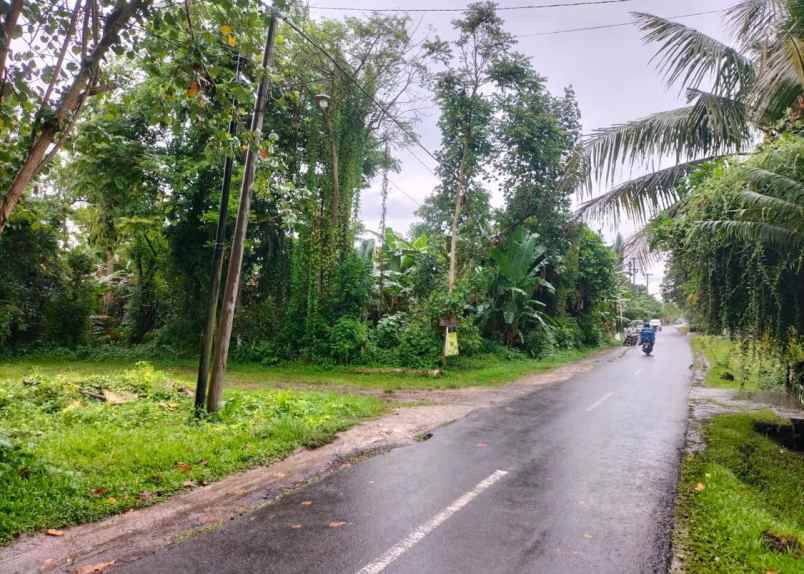 jual tanah di singekerta ubud gianyar bali