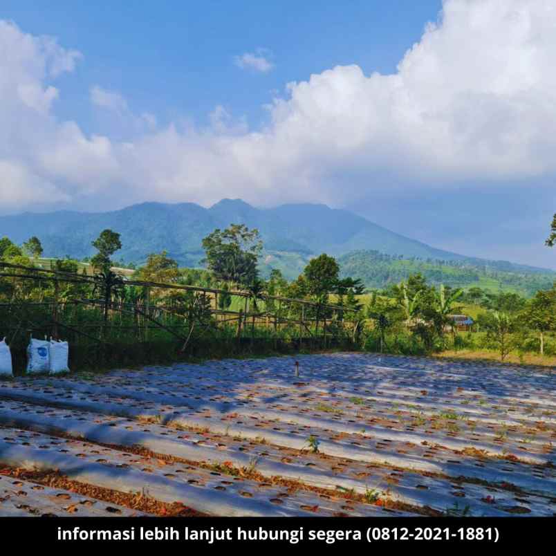 jual tanah view danau dan pegunungan