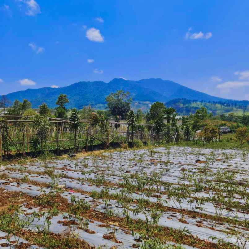 jual tanah view danau dan pegunungan di lembang