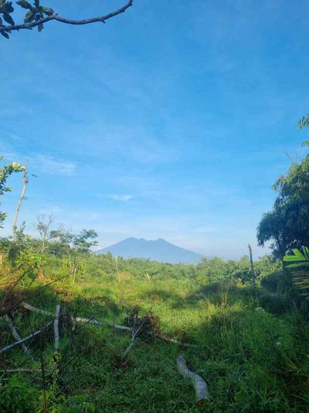jual tanah view mewah shm dekat wisata puncak 850 mdpl