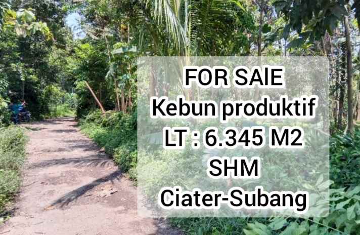 kebun produktif daerah ciater subang jawa barat