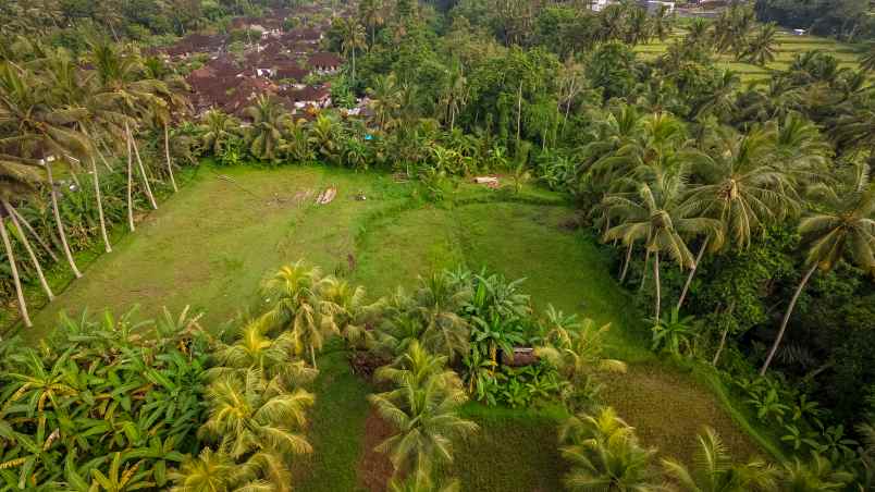 kesempatan langka di ubud