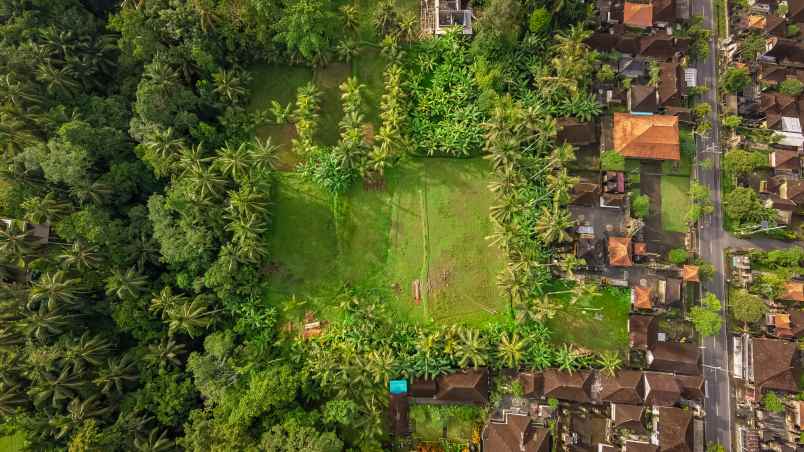 kesempatan langka di ubud