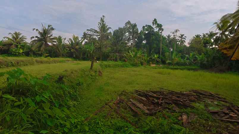kesempatan langka di ubud
