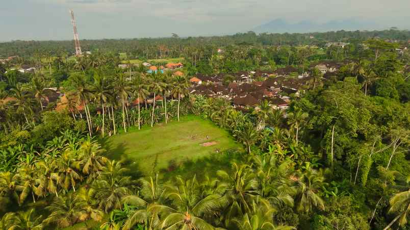 kesempatan langka di ubud