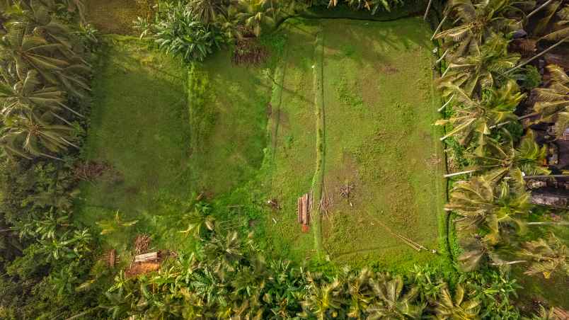 kesempatan langka di ubud