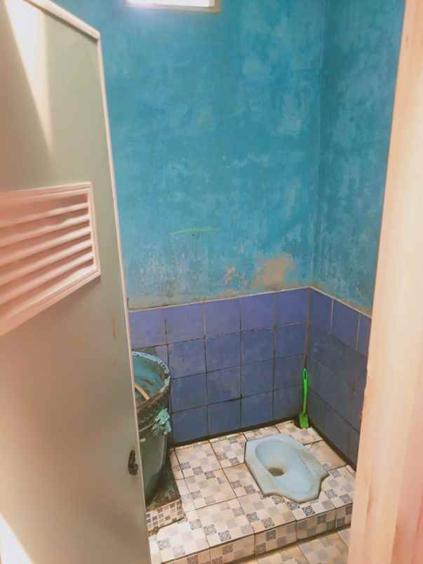 rumah dijual cepat di cagar alam depok