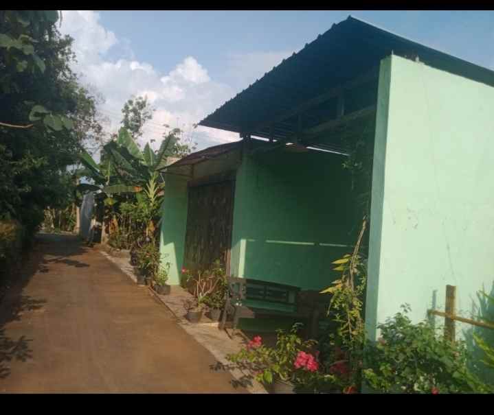 rumah murah mungil elegan