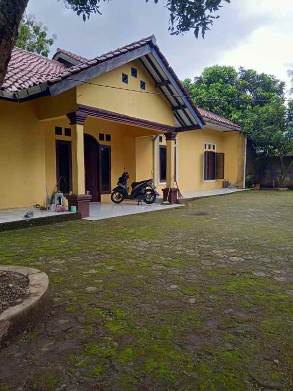 rumah murah pinggir jalan rumah murah di bogor