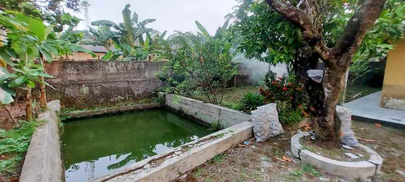 rumah murah pinggir jalan rumah murah di bogor