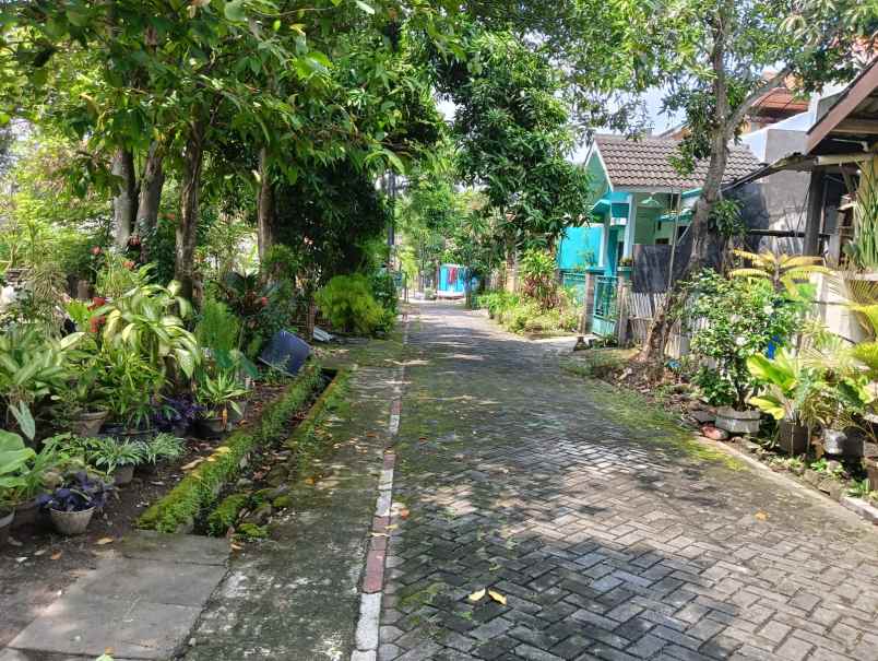rumah tua hitung tanah saja pucanggading atas