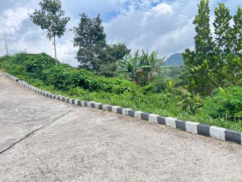 tanah 1150m dekat wisata grojogan sewu tawangmangu