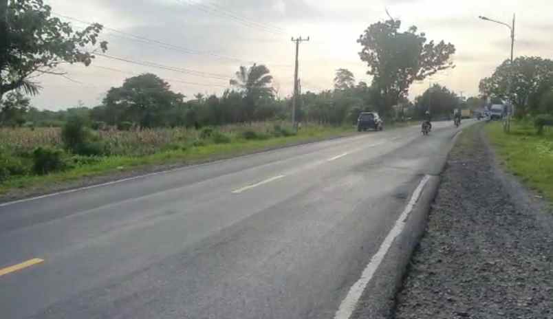 tanah 2 hektar di kalianda lampung selatan surat shm