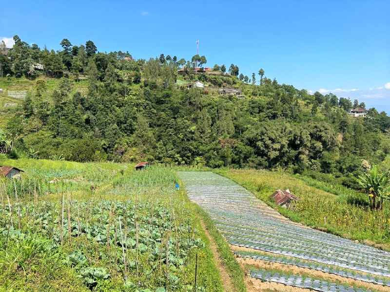 tanah 2000m cocok bangun villa kemuning karanganyar