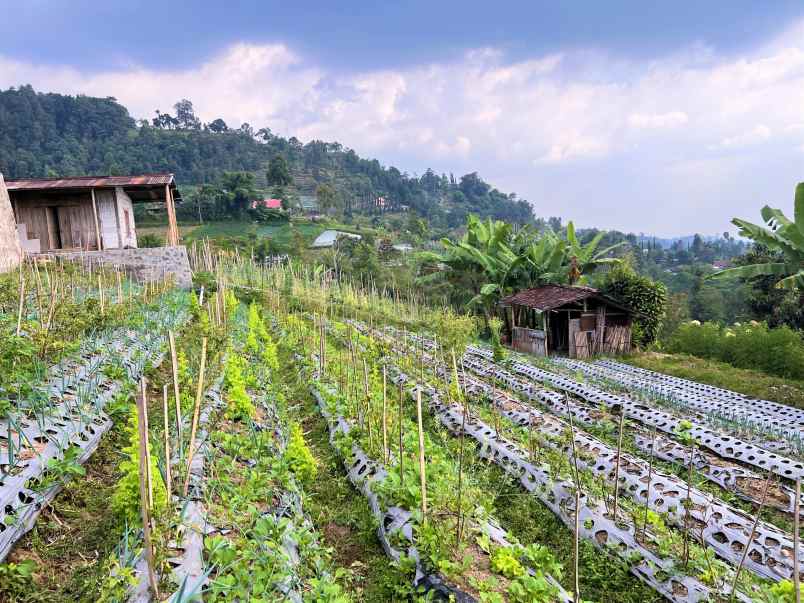 tanah dekat bumi perkemahan kemuning karanganyar